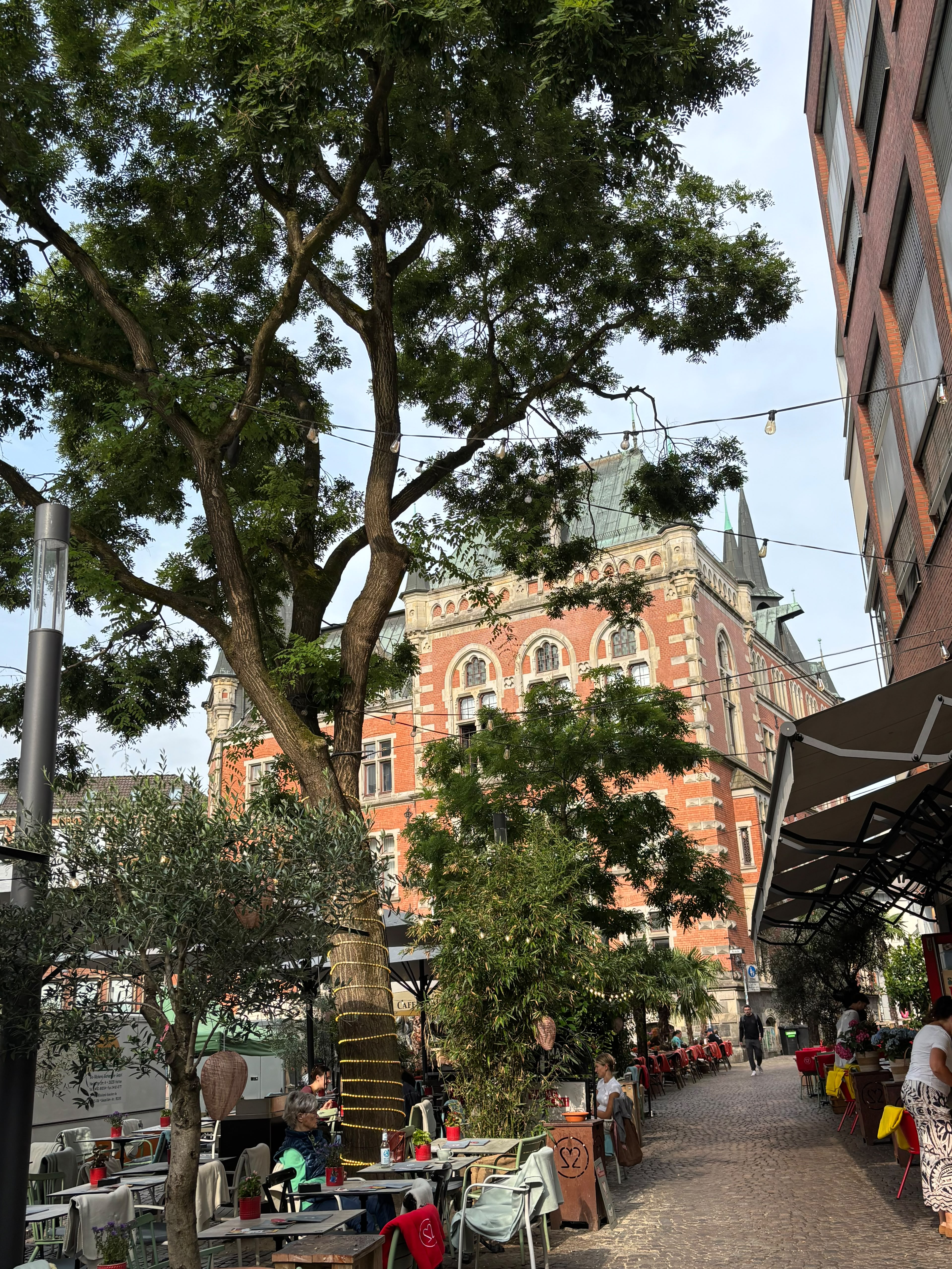 Beschattete Straße mit großen Bäumen und Außengastronomie vor dem Oldenburger Rathaus